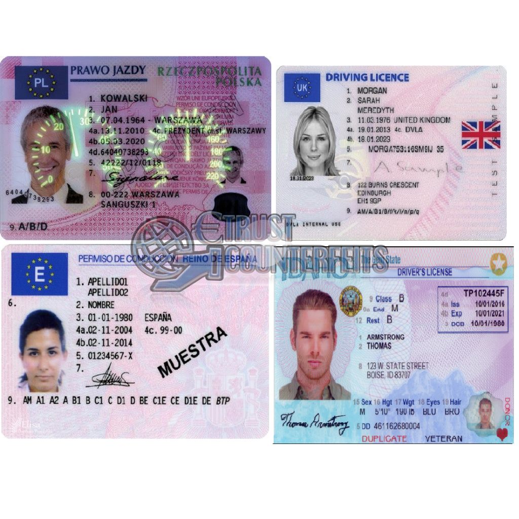 Fake And Real Drivers Licence